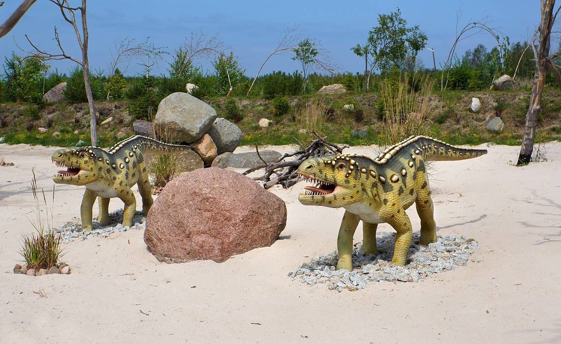 Grafika Park Dinozaurów