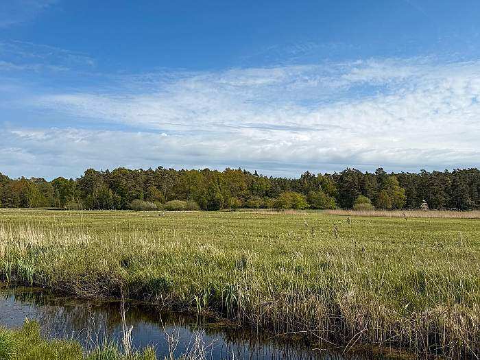 Domki letniskowe La Plata